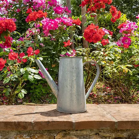 Dom wakacyjny La Casa Toscane *